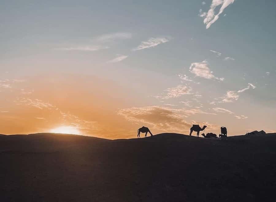 From Marrakech: Dinner show in Agafay Desert & Sunset Quad - The first desert stop and the argan oil visit