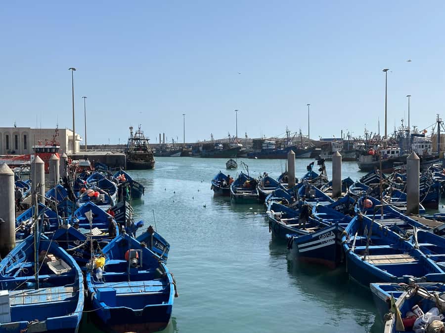 From Marrakech: Essaouira day Trip with camel, horse & quad - The drive from Marrakech and the café stops