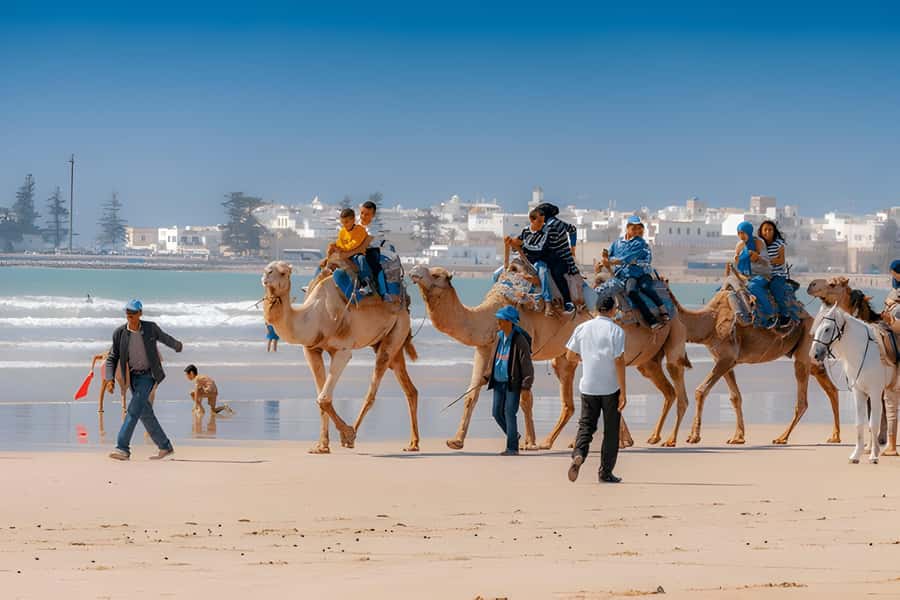 From Marrakech: Essaouira day Trip with camel, horse & quad - Essaouira’s port, cannons, and seafood stalls