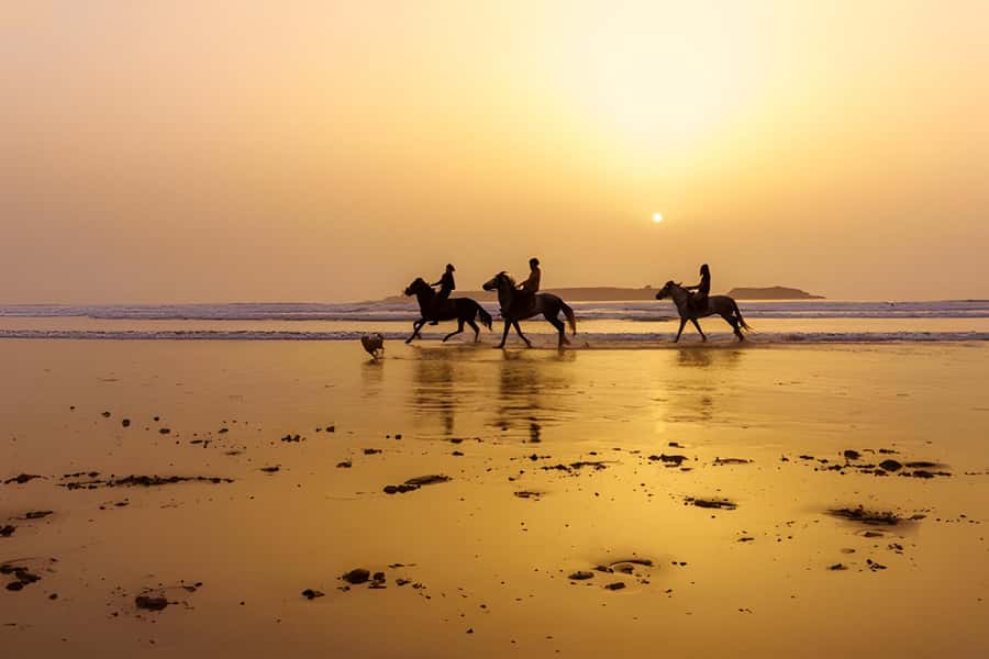 From Marrakech: Essaouira day Trip with camel, horse & quad - Walking through the old medina