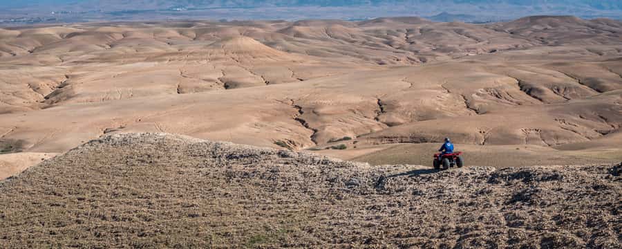 From Marrakech: Full-Day Agafay Desert Quad Adventure - The oasis gives the ride a cool beginning