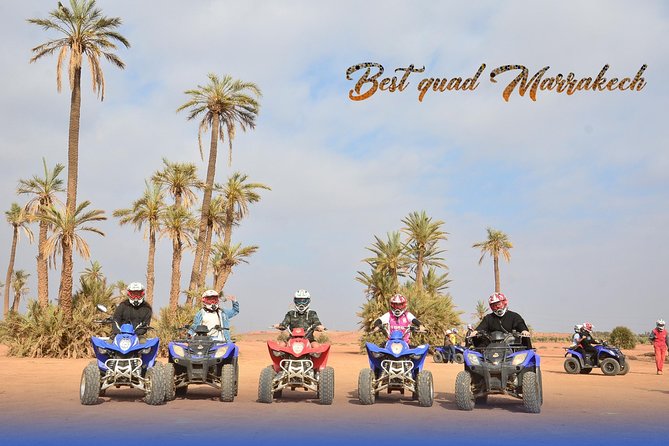 From Marrakech: Palm Grove Quad Bike and Camel Ride Tour - The camel ride: pleasant, brief, and photo-friendly