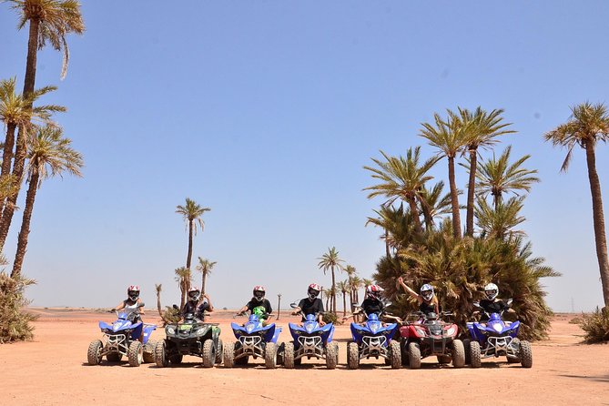 From Marrakech: Palm Grove Quad Bike and Camel Ride Tour - What the Palmeraie ride really looks like
