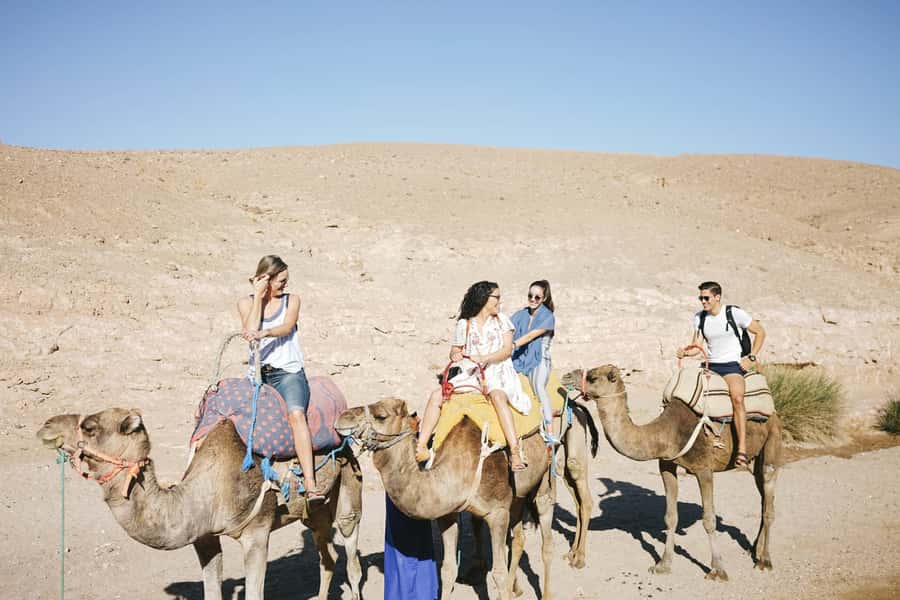 From Marrakesh: Agafay Desert Quad Biking, Camels & Dinner - Moroccan dinner, Berber bread, and mint tea