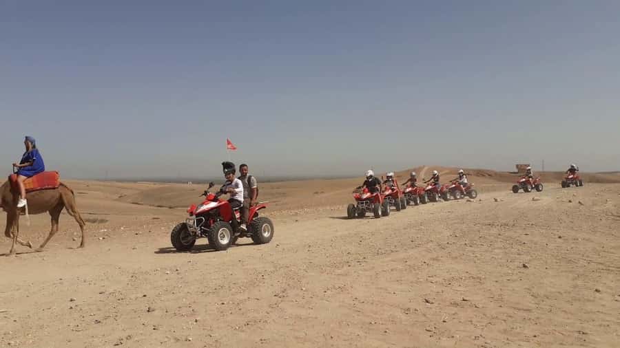 From Marrakesh: Agafay Desert Quad Biking, Camels & Dinner - The camel hour: quiet, traditional, and not for everyone