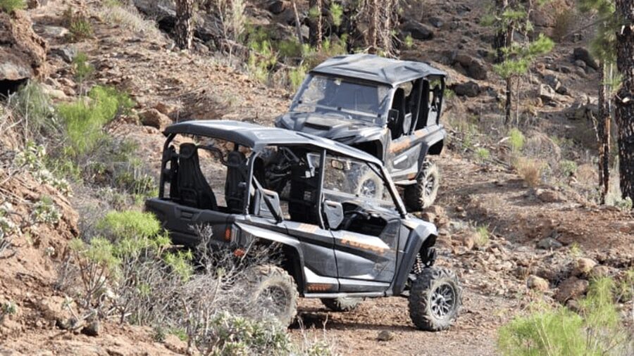 From Maspalomas: Volcanic Landscapes 4-Seater Buggy Tour - Why this buggy trip feels different from a resort activity