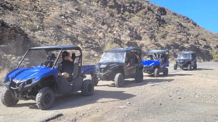 From Maspalomas: Volcanic Landscapes 4-Seater Buggy Tour - Is $177 good value for a group of two?