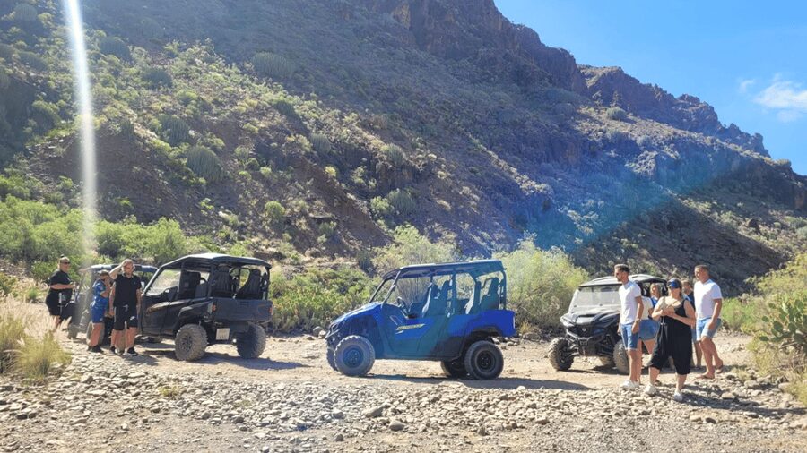 From Maspalomas: Volcanic Landscapes 4-Seater Buggy Tour - Should you book the volcanic buggy tour?