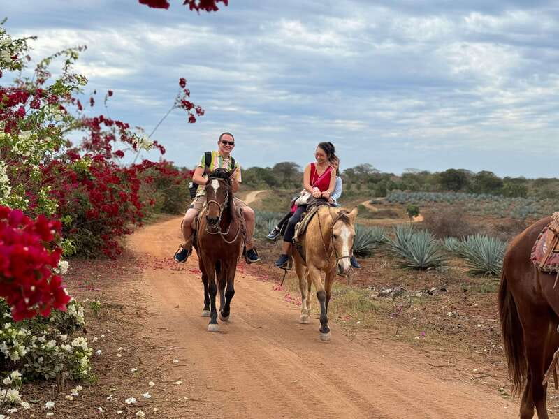 From Mazatlan: ATV & Horse Back riding with Tequila Tasting - Key points to know before booking