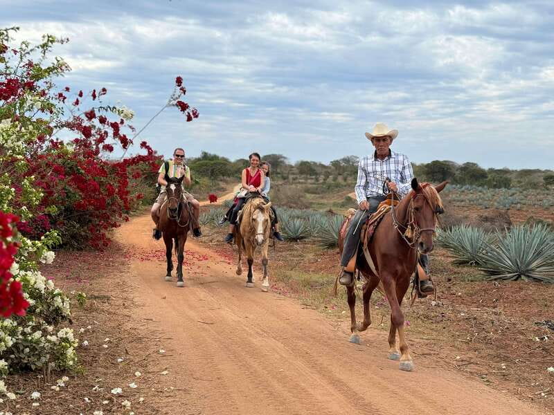 From Mazatlan: ATV & Horse Back riding with Tequila Tasting - From ATV engine to horseback trail