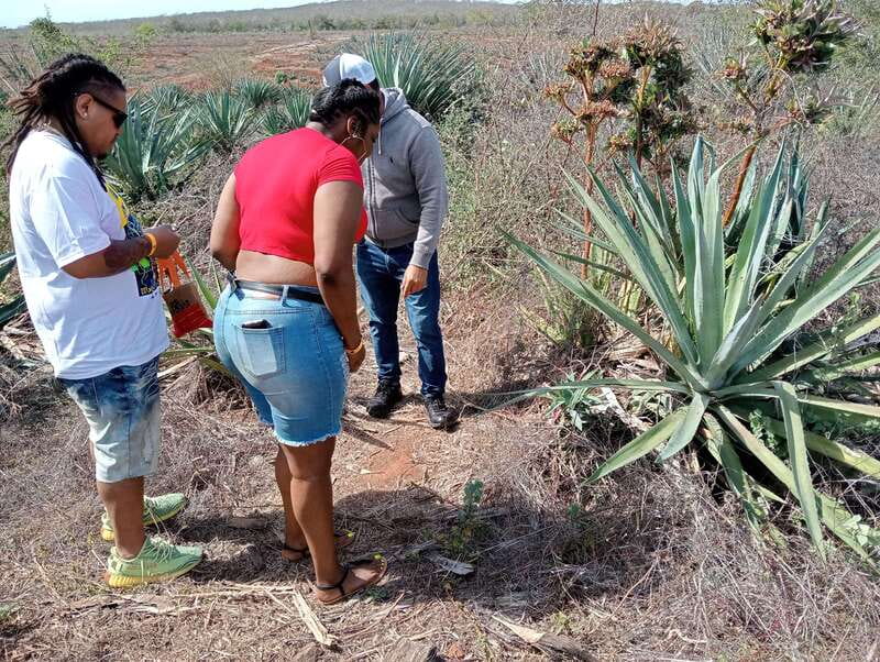 From Mazatlan: ATV & Horse Back riding with Tequila Tasting - Exploring the ranch after lunch