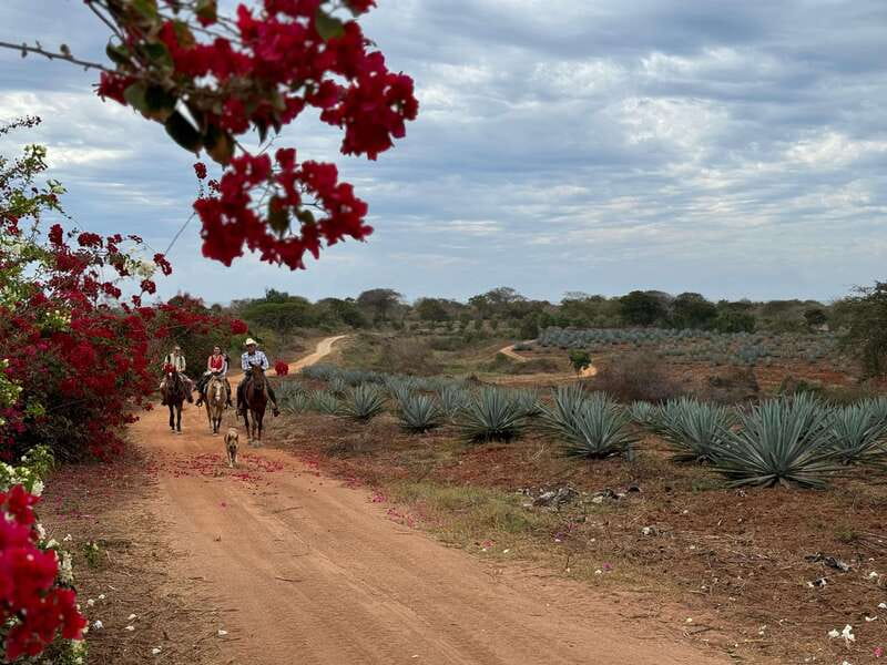 From Mazatlan: ATV & Horse Back riding with Tequila Tasting - Mezcal tasting at the family factory