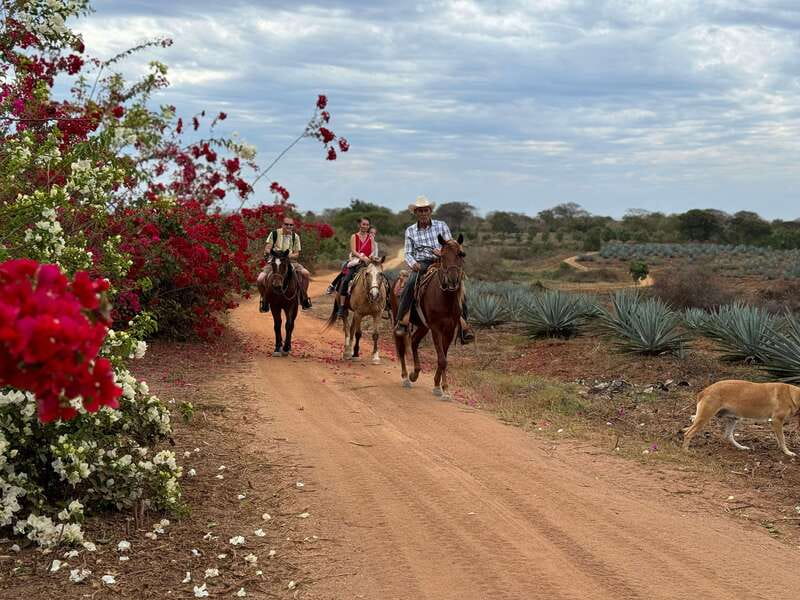 From Mazatlan: ATV & Horse Back riding with Tequila Tasting - The zipline question you should settle first