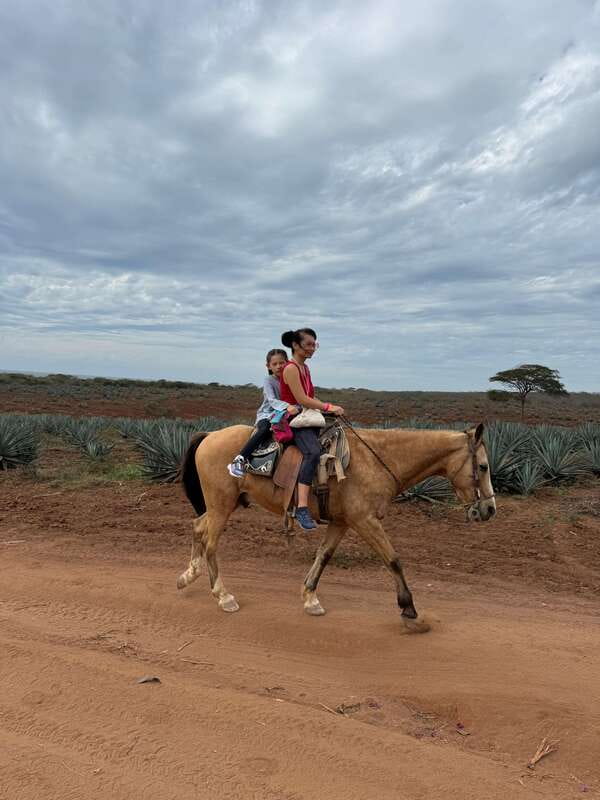 From Mazatlan: ATV & Horse Back riding with Tequila Tasting - Who will enjoy this most