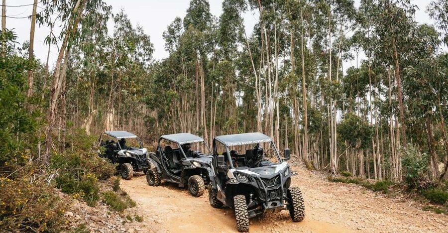 From Porto: Off-Road Buggy Adventure - Key points to know before booking