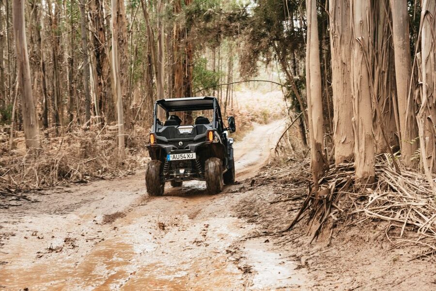 From Porto: Off-Road Buggy Adventure - Price and what you receive for $200