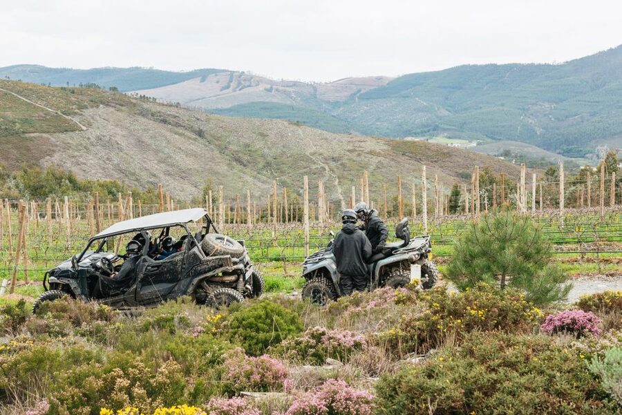 From Porto: Off-Road Buggy Adventure - What the buggy ride is really like