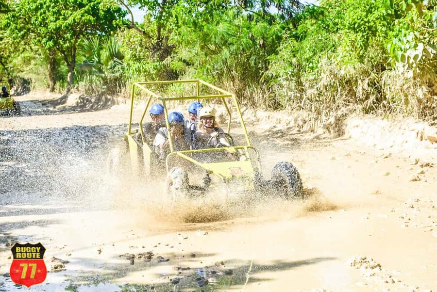 From Punta Cana: Countryside Off-Road Buggy Adventure - Mud tracks through farms and tobacco fields