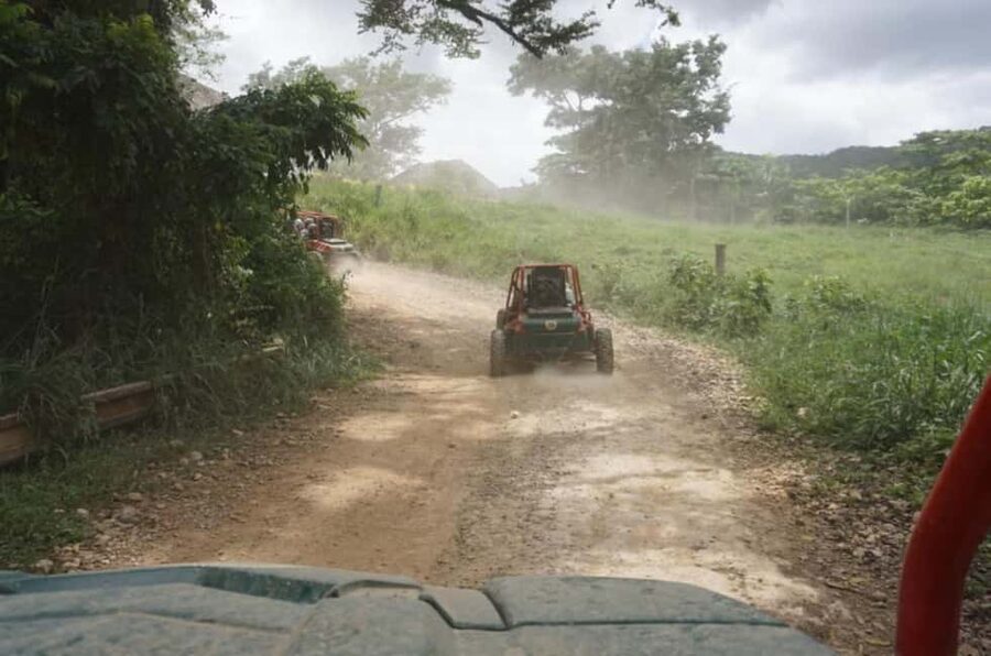 From Punta Cana or La Romana: Sugarcane Fields Buggy or Quad - A Three-Hour Ride Beyond the Resort Gates
