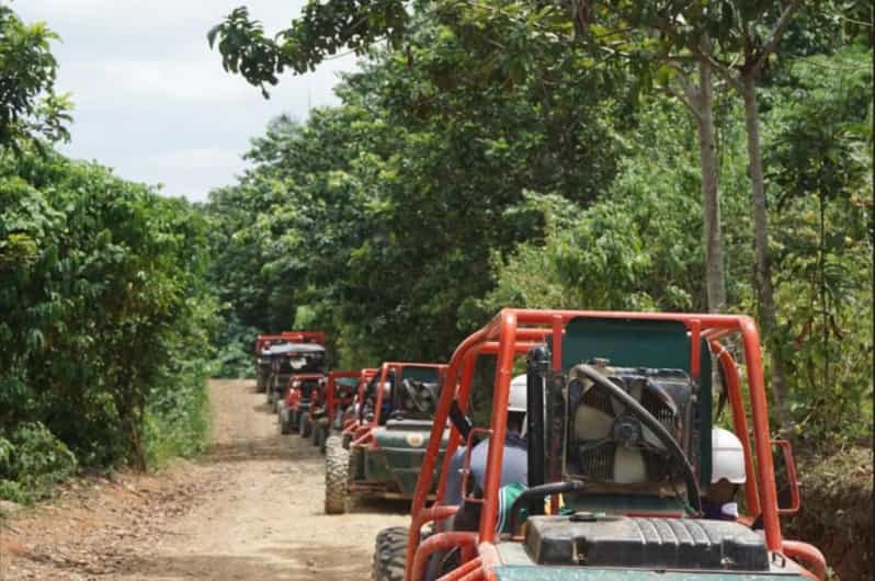 From Punta Cana or La Romana: Sugarcane Fields Buggy or Quad - What the $45 Price Really Buys