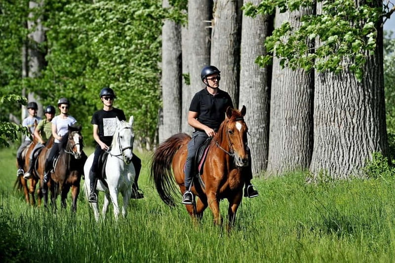 From Split: Full-Day Horse Riding & Quad Biking with Lunch - Heat, effort, and what to pack
