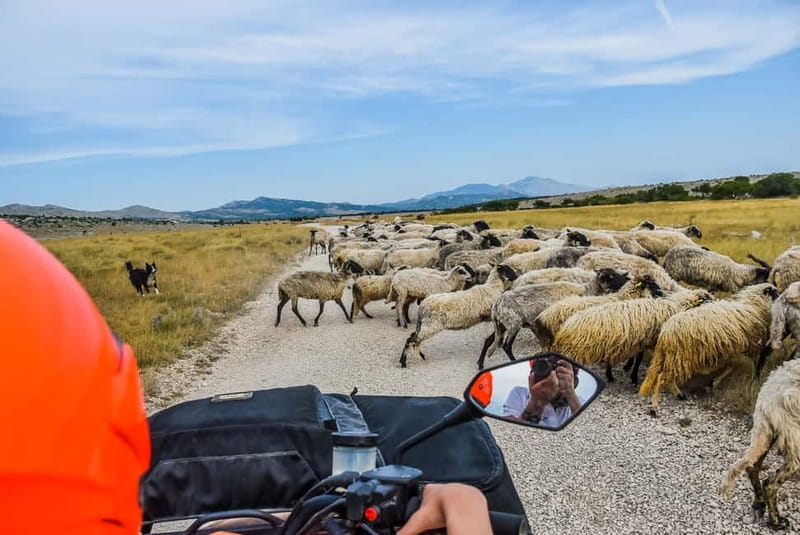 From Split: Full-Day Horse Riding & Quad Biking with Lunch - Horseback riding in Ogorje