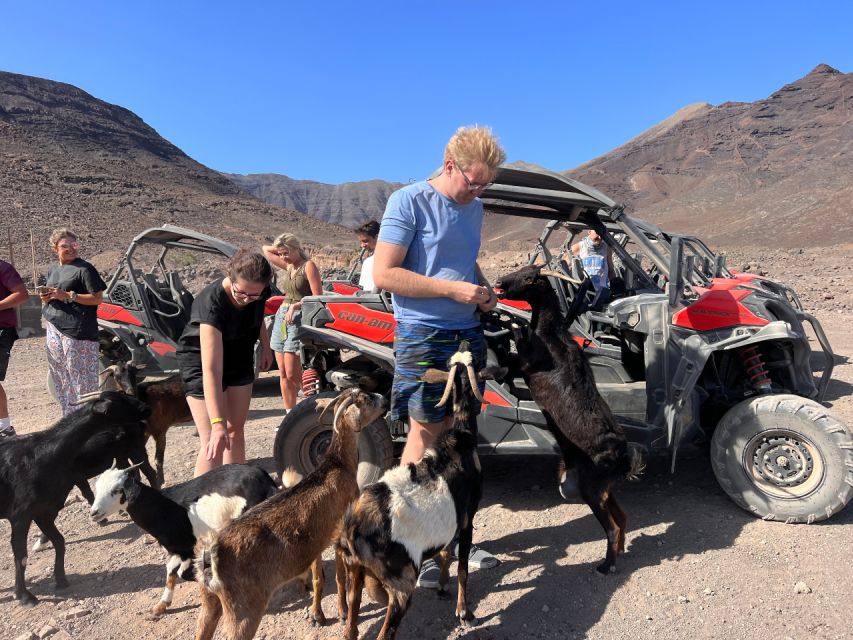 Fuerteventura : 2 hours Buggy Tour in Punta de Jandía - The oldest lighthouse on the island