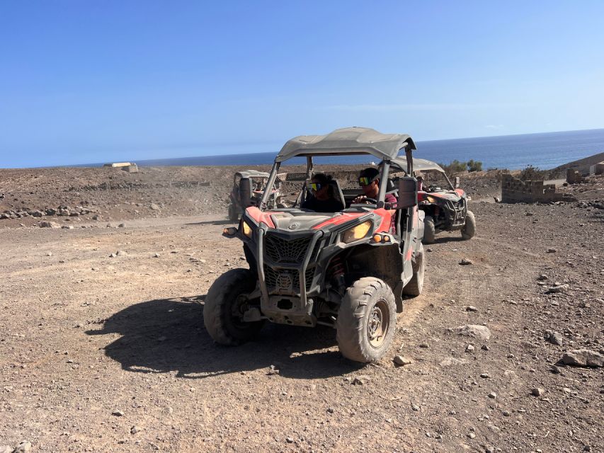 Fuerteventura : 2 hours Buggy Tour in Punta de Jandía - Guides, languages, and group size