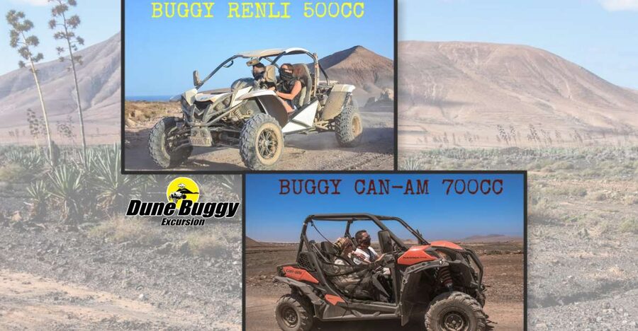 Fuerteventura: Dune Buggy Tour in Northern Fuerteventura - At a glance