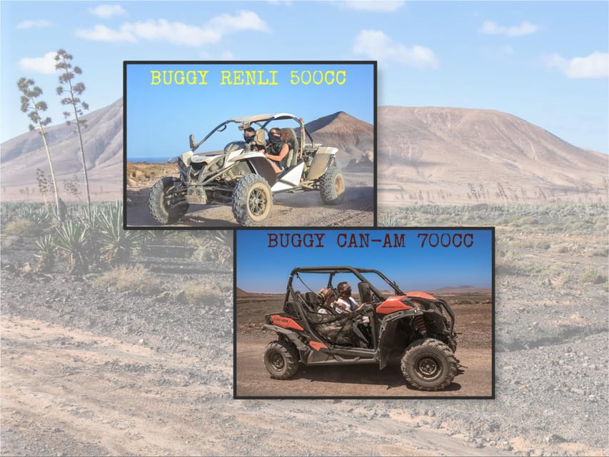 Fuerteventura: Dune Buggy Tour in Northern Fuerteventura - Villaverde and the volcanic area