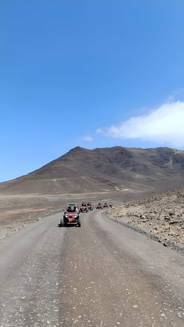 Fuerteventura: Jandía Natural Park & The Puertito Buggy Tour - Key points before you book