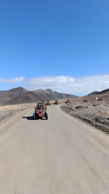Fuerteventura: Jandía Natural Park & The Puertito Buggy Tour - Jandía Natural Park and the southern scenery