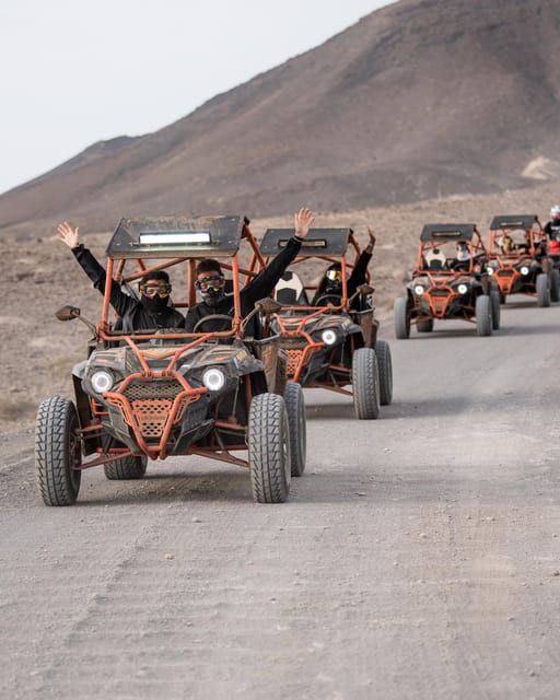 Fuerteventura: Jandía Natural Park & The Puertito Buggy Tour - Who will get the most from this tour?