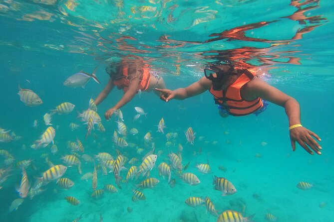 Full Day ATV Experience and Booze Cruise with Open Bar - Snorkeling over the reef
