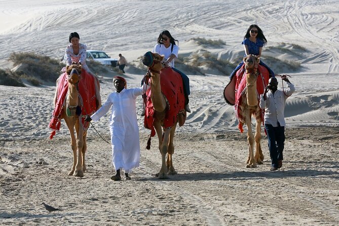 Full-day Qatar desert safari: dune bashing, sandboarding, camels - Why this Qatar desert day works so well