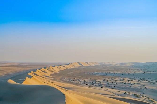 Full-day Qatar desert safari: dune bashing, sandboarding, camels - Dune bashing across Qatar’s golden dunes