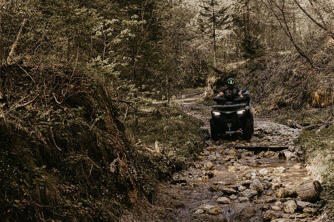Full-Day Quad Rental in Bled - Who will enjoy this most