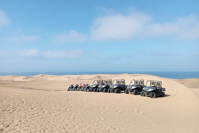 Fun buggies in Agadir Forest and Beach Dunes - Quick take: what makes this ride worth considering