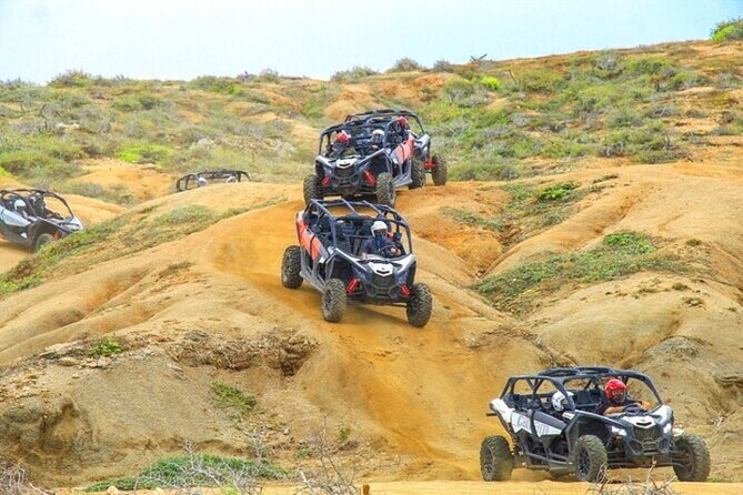Fun Camel Ride and UTV COMBO with Tequila Tasting! - The UTV and ATV section brings the speed