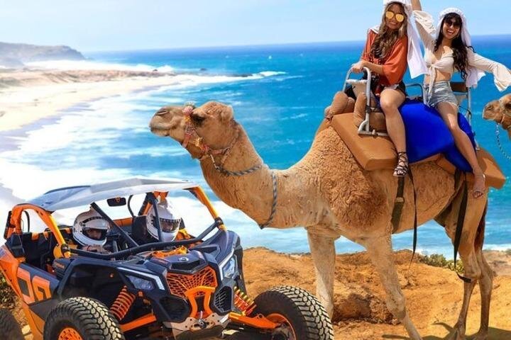 Fun Camel Ride and UTV COMBO with Tequila Tasting! - Tequila tasting adds a useful local touch