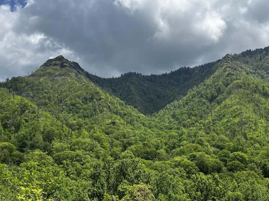 Gatlinburg: Self-Guided Street Legal UTV Rentals - Street legal does not mean highway or off-road