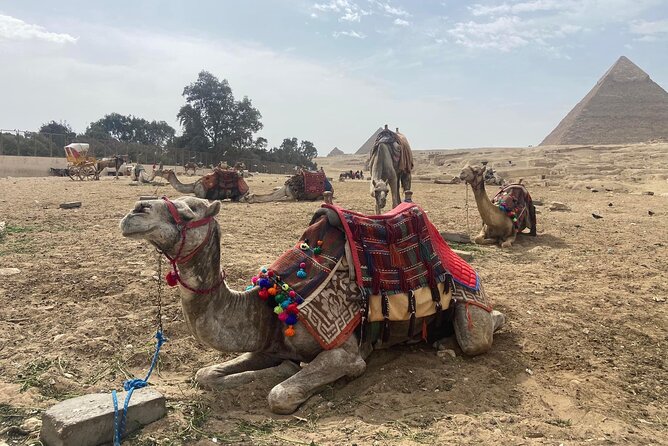 Giza Pyramids,Sphinx,Camel Ride,ATV Bike,Shopping, Dinner cruise - The two-hour Nile dinner cruise