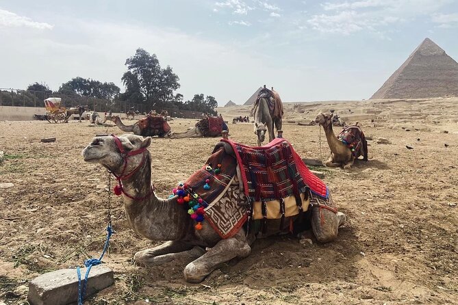 Giza Pyramids,Sphinx,Camel Ride,ATV Bike,Shopping, Dinner cruiseI - Shopping and the papyrus stop