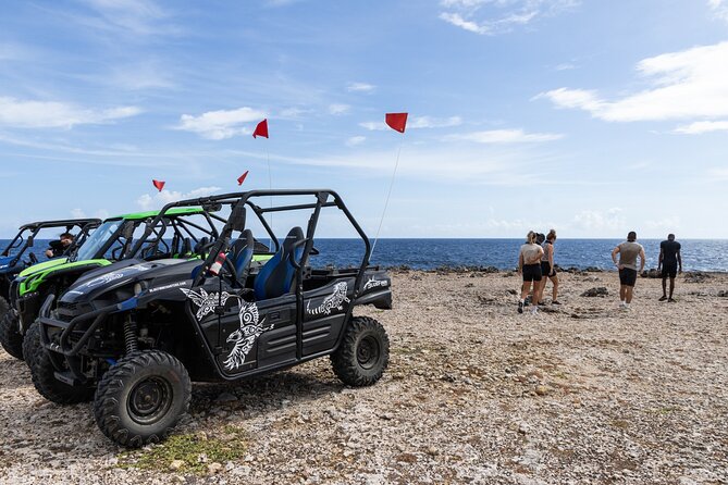 Go West ATV Tour in Curacao - Flamingos at the Zoutpannen salt flats