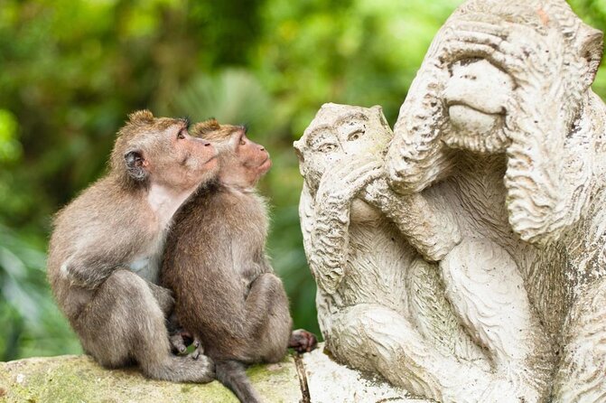 Gorilla Cave ATV Bali Ubud, Monkey Forest, Temple, and Lunch - Key points to know before booking