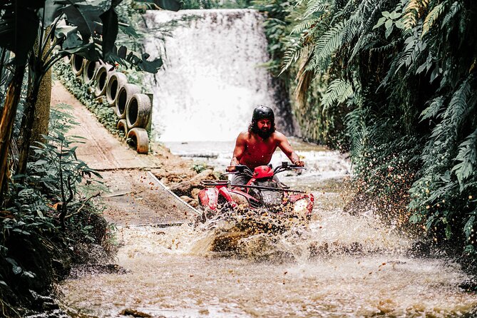Gorilla Cave ATV Bali Ubud, Monkey Forest, Temple, and Lunch - Walking beneath the trees at Monkey Forest