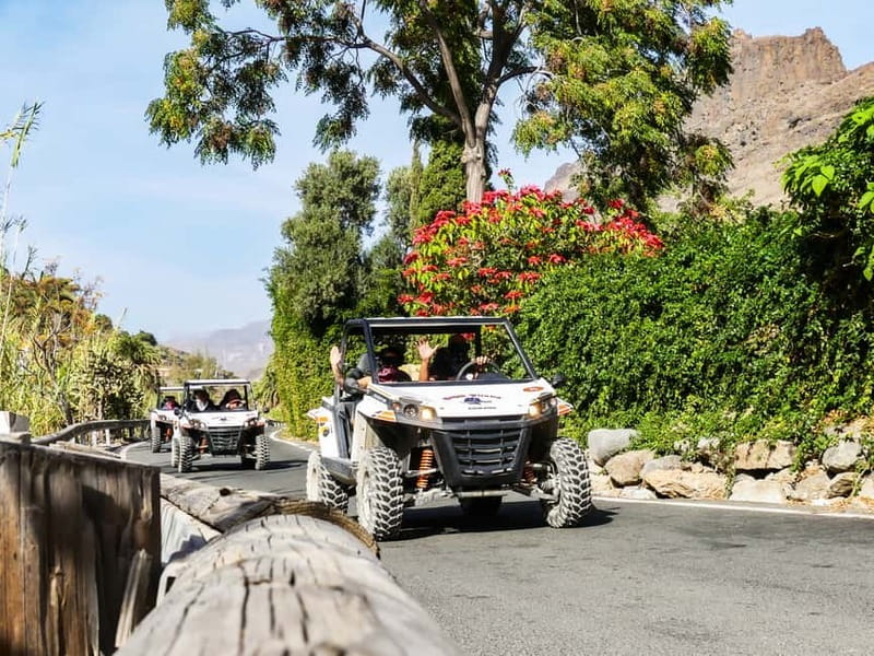 Gran Canaria: Off-Road Buggy Adventure in the Canyons - Booking details worth knowing