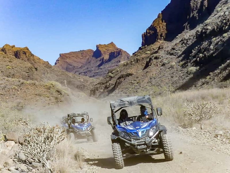 Gran Canaria: Off-Road Buggy Adventure in the Canyons - Is $76 good value?