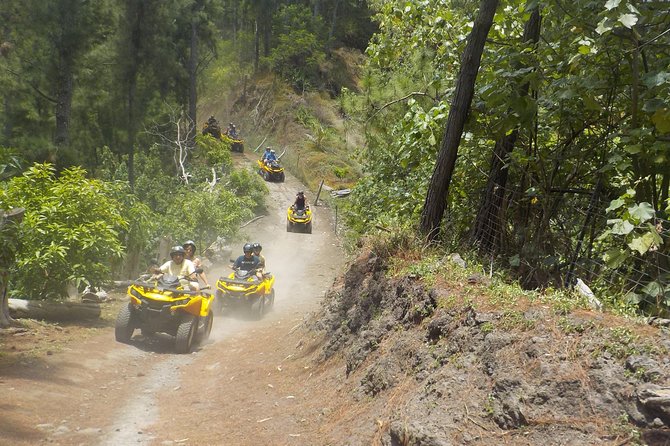 Grand Tour Quad Excursion in Moorea (Single or Two-Seater) - Guides, safety, and the human side of the tour