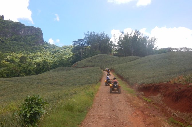 Grand Tour Quad Excursion in Moorea (Single or Two-Seater) - What $134.33 buys you